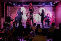 Flamenco de Leones