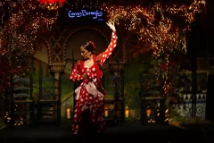 Flamenco Tablao Torres Bermejas