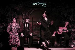 Flamenco Tablao Torres Bermejas