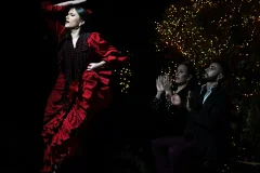 Flamenco Tablao Torres Bermejas