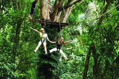 Flying Hanuman Phuket
