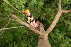 Flying Hanuman Phuket