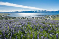 FlyOver Iceland