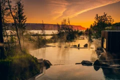 Forest Lagoon