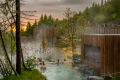 Forest Lagoon