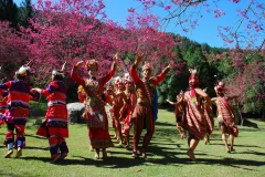 Formosan Aboriginal Culture Village