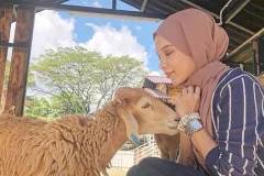 G2G Animal Garden