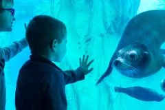 Gardaland SEA LIFE Aquarium