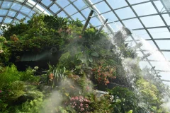 Gardens by the Bay