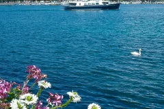 Geneva Boat Tours