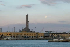 Genoa Boat Tours