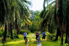 George Town Bike Tours