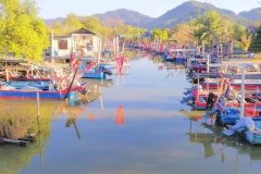 George Town Bike Tours
