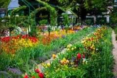 Giverny Day trips from Paris