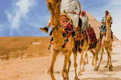 Giza Plateau