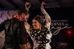 Granada Flamenco Shows
