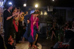 Granada Flamenco Shows