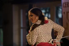 Granada Flamenco Shows