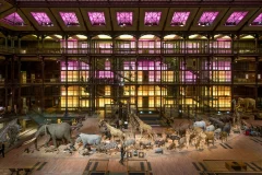 Grande Galerie de l'Évolution