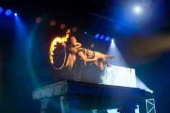 Greg Frewin Theatre
