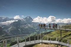 Grindelwald & Interlaken Day Trips from Zurich