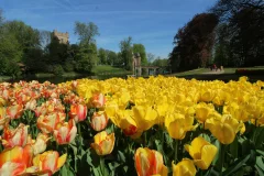 Groot-Bijgaarden Castle