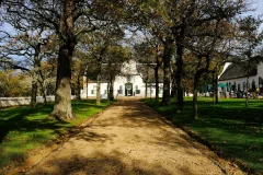 Groot Constantia Wine Estate