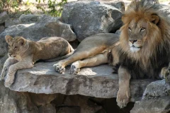 Hellabrunn Zoo