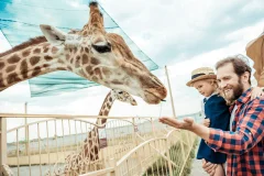 Hellabrunn Zoo
