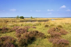 Het Nationale Park De Hoge Veluwe