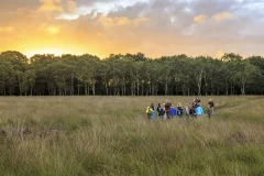 Het Nationale Park De Hoge Veluwe