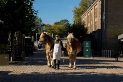 Home of Carlsberg