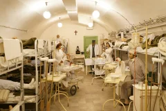 Hospital in the Rock