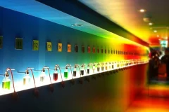 House of Bols