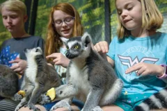 Houston Aquarium & Animal Adventure