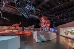 Houston Museum of Natural Science
