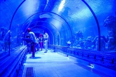 Hurghada Grand Aquarium