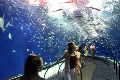 Hurghada Grand Aquarium