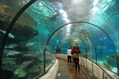 Hurghada Grand Aquarium