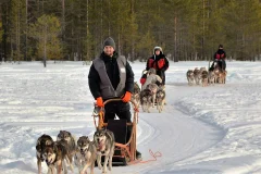 Husky Travels Oy