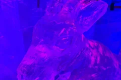 IceBar Cologne
