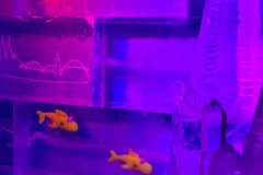 IceBar Cologne
