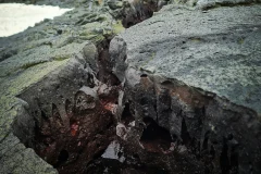 Iceland Volcano Tours