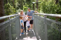 Illawarra Fly Treetop Adventures