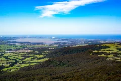 Illawarra Fly Treetop Adventures