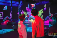 Illuminarium Toronto