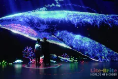 Illuminarium Toronto