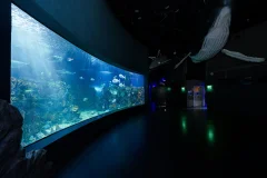 Inbursa Aquarium