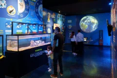 Inbursa Aquarium