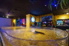 Inbursa Aquarium